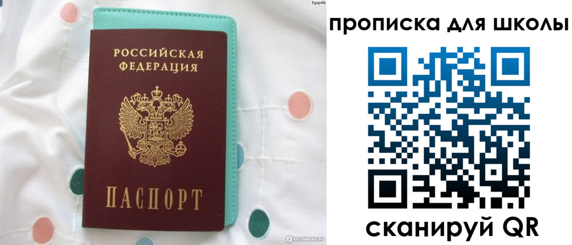 временная регистрация для всех в Дмитрове